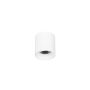 Italux ALTISMA CLN-6677-75-WH-3K Opbouwspot 1x10W/LED 3000k 1100LM IP20