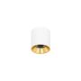 Italux ALTISMA CLN-6677-75-WH-GD-3K Opbouwspot 1x10W/LED 3000k 1100LM IP20