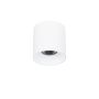 Italux ALTISMA CLN-6677-95-WH-3K Opbouwspot 1x15W/LED 3000k 1650LM IP20
