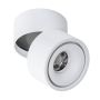 AZzardo COSTA AZ2856 Spot 1x12W/LED 3000K 885LM IP20