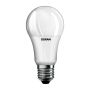 Eko-Light BULB EKZOS042 Gloeilamp 1x13W/E27 6500K 1521LM