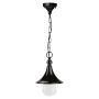 Novolux TROM 332G-G05X1A-02 Hanglamp 1x42W/E27 IP43