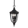 Feiss ENGLISH BRIDLE FE-EB8-M-BLK Hanglamp 3x60W/E14 IP23
