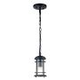 Feiss Lighthouse FE-LIGHTHOUSE8-S-BLK Hanglamp 1x60W/E27 IP44
