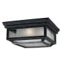 Feiss SHEPHERD FE-SHEPHERD-F Plafondlamp 2x75W/E27 IP44