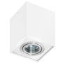 AZzardo ELOY AZ0929 Opbouwspot 1x50W/GU10