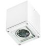 AZzardo TONIO AZ0870 Opbouwspot 1x50W/GU10