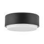 Hinkley Lighting Cedric HK-CEDRIC-F-S-BK Plafondlamp 2x40W/E27 IP20