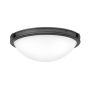 Hinkley Lighting Collier HK-COLLIER-F-S-BX Plafondlamp 2x40W/E27 IP20
