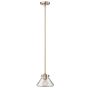 Hinkley Lighting CONGRESS HK-CONGRESS-P-A-BC Hanglamp 1x60W/E27