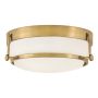 Hinkley Lighting Harper HK-HARPER-F-HB Plafondlamp 3x60 W/E27