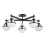 Hinkley Lighting Hollis HK-HOLLIS-5-C-BK Plafondlamp 5x40 W/E14 ip44