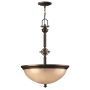 Hinkley Lighting MAYFLOWER HK-MAYFLOWER-P-C Hanglamp 3x60W/E27