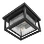 Hinkley Republic HK-REPUBLIC-F-BK Plafondlamp 2x40W/E27 ip44