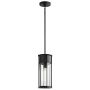 Kichler Camillo KL-CAMILLO-P-TBK Hanglamp 1x60W/E27 IP44