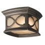 Kichler FRANCEASI KL-FRANCEASI-F Plafondlamp 2x60W/E27 IP44