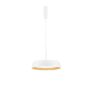 Luces Exclusivas CARACOLLO LE44813 Hanglamp 1x40W/led 3000k IP20 3111lm