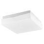 Nova Luce CUBE 6110041 Plafondlamp IP44