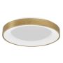 Luces Exclusivas TOME LE41520 Plafondlamp 1x50W/led 3000k IP20 3250lm