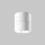 Maytoni Spin O310CL-L12W3K Opbouwspot 1x12W/LED 3000K 1050lm IP54