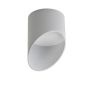 AZzardo MOMO2 AZ2280 Opbouwspot 1x12W/LED 3000K 325LM IP20