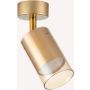 Zuma Line REN OB-2211BD-1-GLD Spot 1x50W/GU10