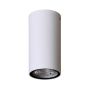 Italux Fano OPN-2002-4K Opbouwspot 1x3W/LED 4000K 255lm IP54