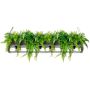 King Home SEMIRA INDUSTRIAL OSW001005 Hanglamp 6x40W/E27 IP20