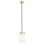 Argon PASADENA 8004 Hanglamp 1x15W/E27 IP20