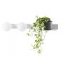 Kaspa BOTANICA DECO 20852201 Wandlamp 2x9W/E14 IP20