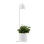 Kaspa BOTANICA XL 40848101 Staande lamp 1x9W/GU10 IP20