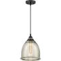 Quoizel PICCOLO QZS-QPP2818K Hanglamp 1x60W/E27