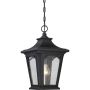 Quoizel BEDFORD QZ-BEDFORD8-S Hanglamp 1x60W/E27 IP44