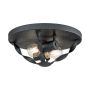 Quoizel Bradbury QZ-BRADBURY-F-GK Plafondlamp 2x60W/E14