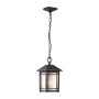 Quoizel Cedar Point QZ-CEDAR-POINT8-M-BK Hanglamp 1x60W/E27 IP44