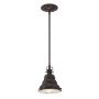 Quoizel EASTVALE QZ-EASTVALE-P-S Hanglamp 1x60W/E27