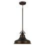 Quoizel EMERY QZ-EMERY-P-M-PN Hanglamp 1x60W/E27