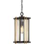 Quoizel GOLDENROD QZ-GOLDENROD8-M Hanglamp 1x60W/E27 IP23
