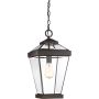 Quoizel RAVINE QZ-RAVINE8-L Hanglamp 1x60W/E27 IP44