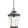 Quoizel RAVINE QZ-RAVINE8-M Hanglamp 1x60W/E27 IP44