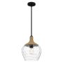 Quoizel Royer QZ-ROYER-1P-MBK Hanglamp 1x60W/E27 IP20