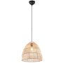 Trio RIKE R31131036 Hanglamp 1x40w/e27 ip20