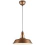 Trio WILL R30421062 Hanglamp 1x60w/e27 ip20