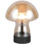 Trio DOOLEY R54981113 Tafellamp 1x1.5w/led 3000k 140lm ip20