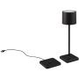 Trio FERNANDEZ R54096132 Tafellamp 1x1w/led 2700+4000+6000K 130lm ip54