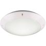 Trio CAMARO R60501031 Plafondlamp 1x12w/e27 ip54