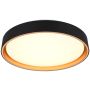 Trio FELIS R64391080 Plafondlamp 1x24w/led 2700-6500k 2500lm ip20