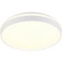 Trio SPACY R64851131 Plafondlamp 1x33w/led 2700-6500k 3800lm ip20