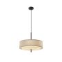Maytoni Bergamo MOD613PL-05GR1 Hanglamp 5x60W/E27 IP20