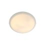 Nordlux STANDARD 2410256001 Plafondlamp 1x60W/E27 IP20